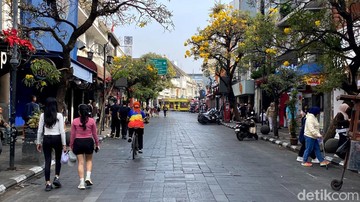 Tabebuya Bermekaran di Jalan Braga Bandung, Momen Terbaik Akhir Pekan Ini