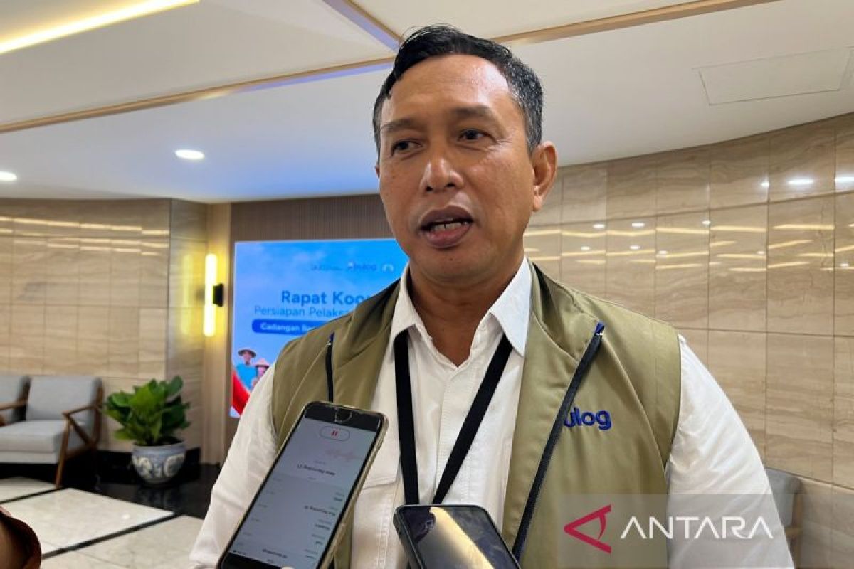 Bulog Serap 380 Ribu Ton Beras Turun Mutu, Giling Ulang Jadi Tepung