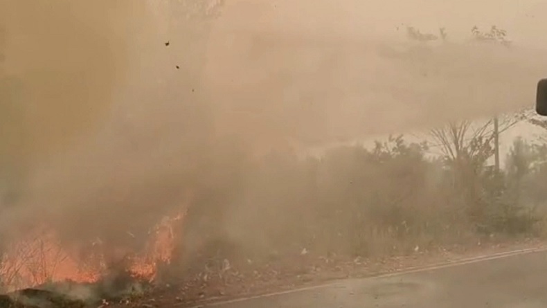 Petugas Kehabisan Air, Karhutla Palangka Raya Hampir Sentuh Jalan Utama