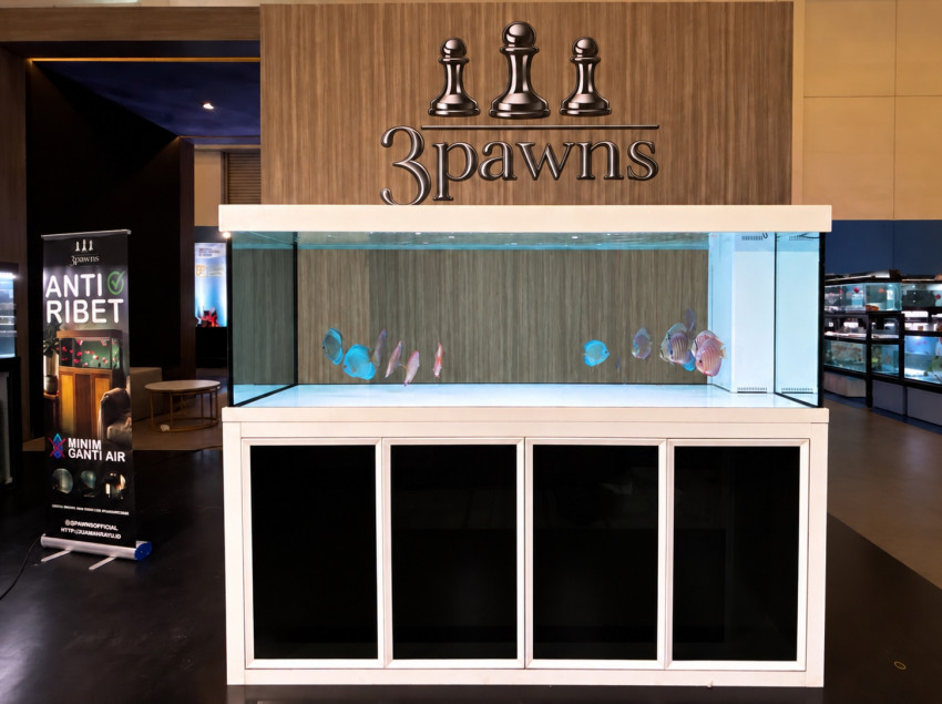 Rumah Mayin Garap Akuarium Premium 3Pawns, Incar Pasar Hobi Ikan Hias Rp7 Triliun