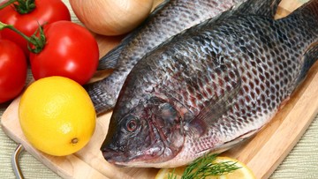 5 Fakta Ikan Nila yang Kaya Protein dan Mudah Dibudidayakan