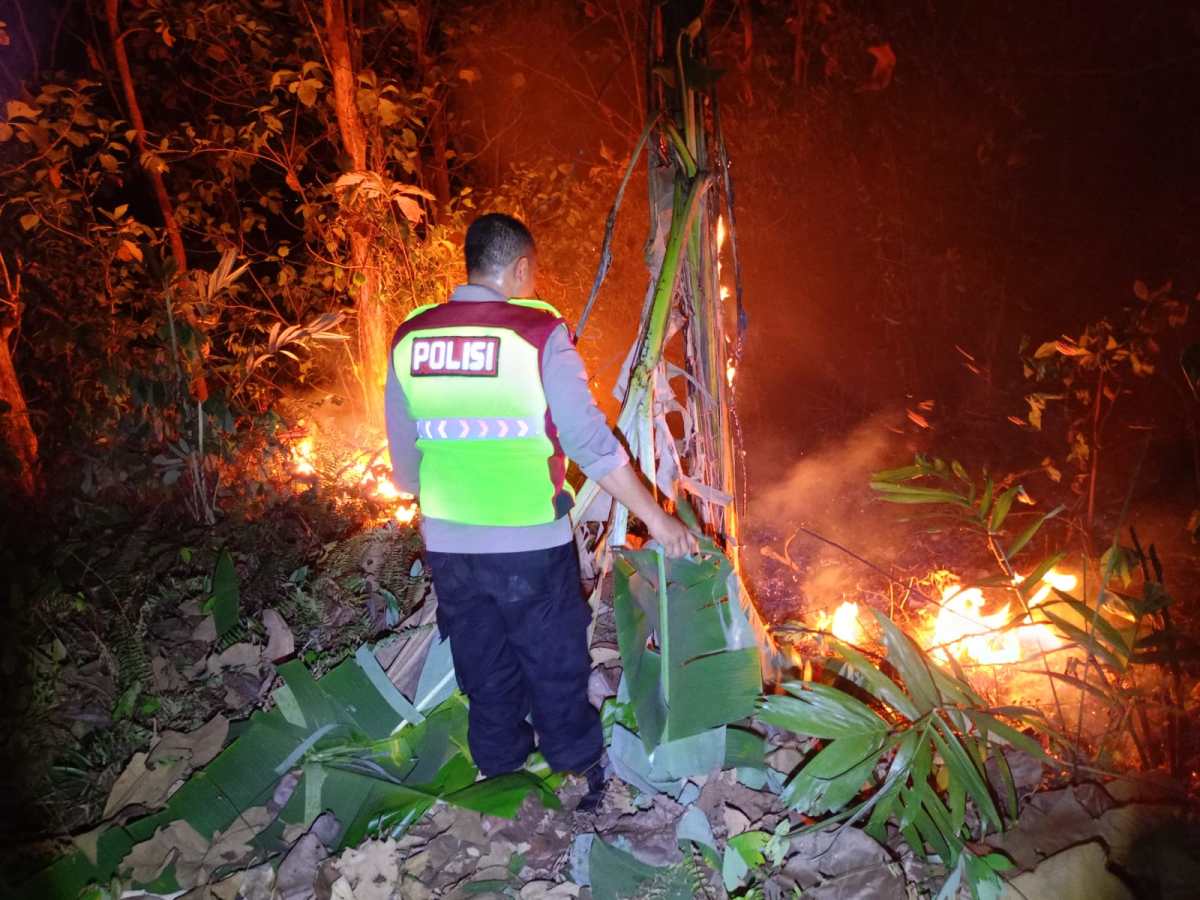Kebakaran Hutan Jati di Ayah Kebumen Hanguskan 1,4 Hektare, Petugas Jalan Kaki Lewati Perbukitan