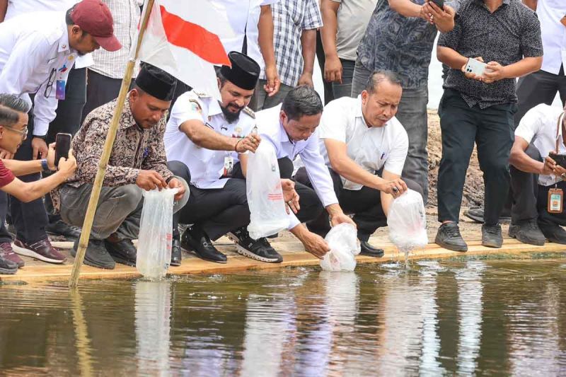 KKP Salurkan 4,2 Juta Benur Udang untuk Pulihkan 120 Hektare Tambak Aceh Timur