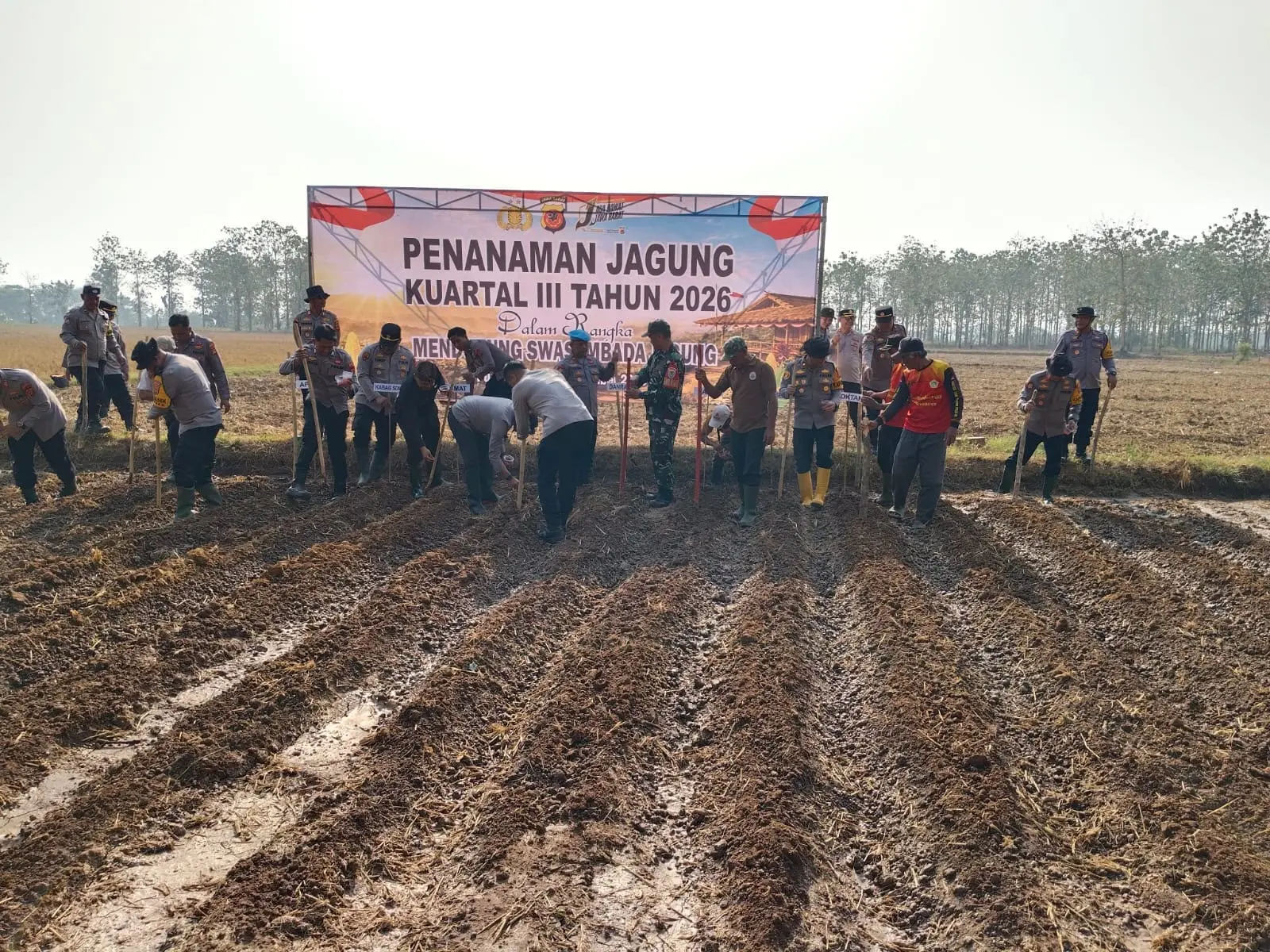 Polres Purwakarta Gelar Penanaman Jagung Serentak di Campaka, Bibit dan Pupuk Diserahkan ke Petani