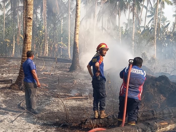 Satpol PP-Damkar Morotai Tangani 3 Kebakaran Beruntun dalam Dua Hari, Dua Terjadi di Hari Sama