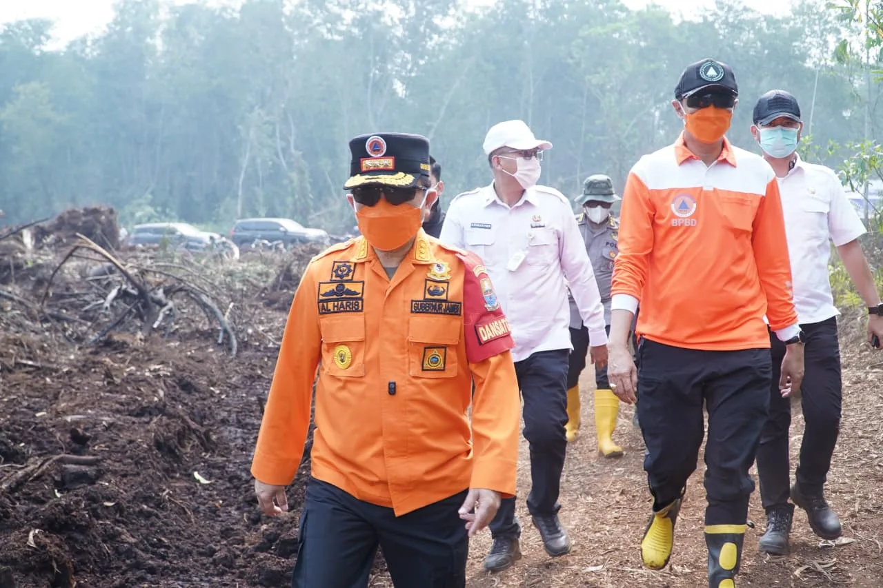 Karhutla Kembali Hanguskan Gambut Londerang Jambi, Gubernur Al Haris Uji Dua Zat Pemadam di Lokasi