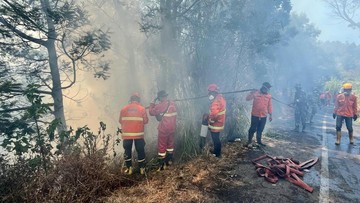 Karhutla Jatim: 3 Titik Masih Membara, Bromo Hangus 200 Hektare