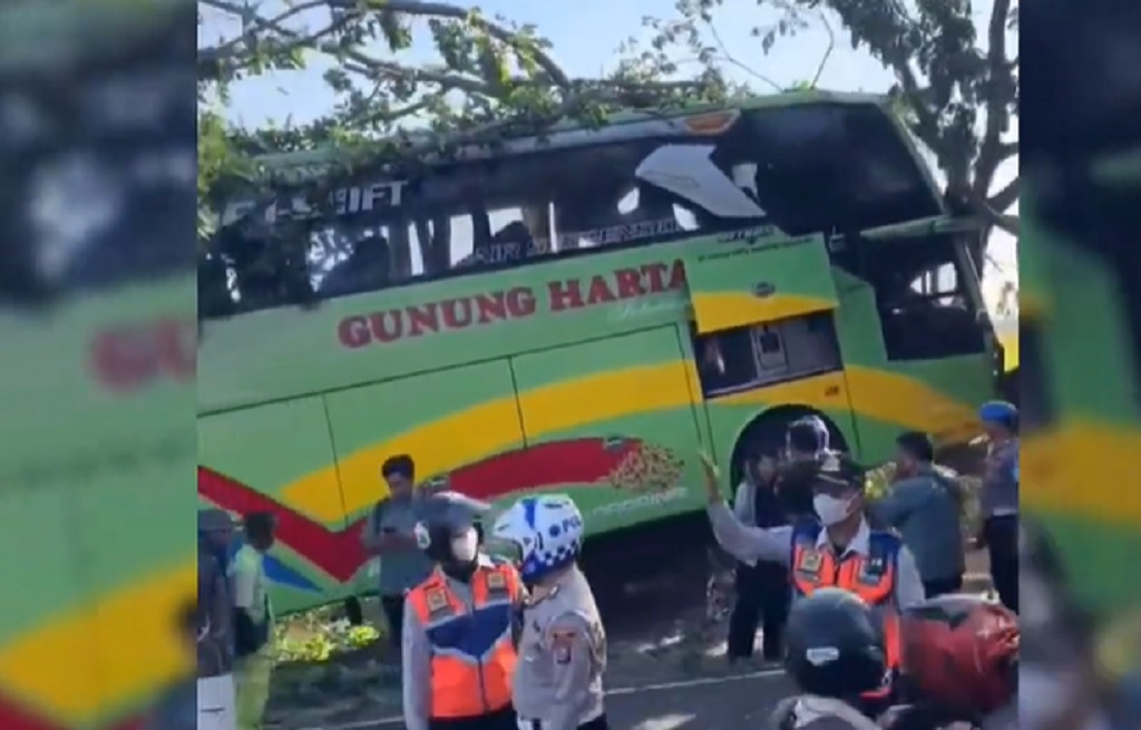 Sopir Bus Gunung Harta Tersedak Kopi, Bus Oleng dan Tabrak Dua Pohon di Tuban