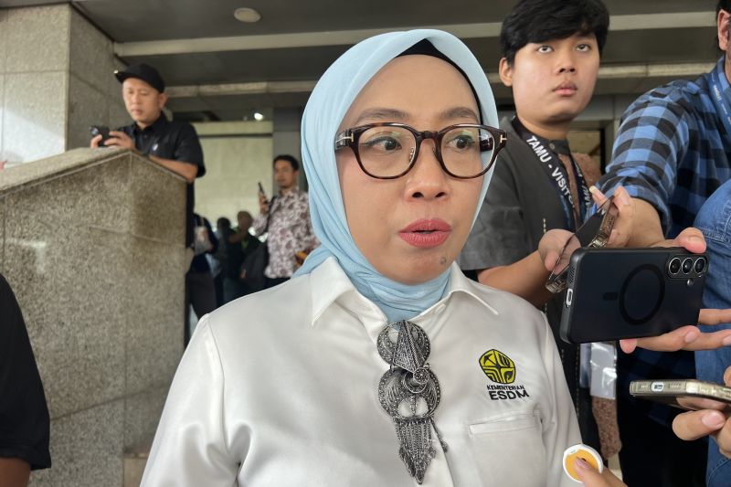 ESDM Buka Peluang Investasi PLTB, Kombinasi dengan PLTA saat Musim Kemarau