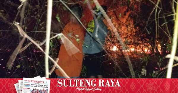 Lahan 0,5 Hektare di Desa Cempa Touna Terbakar Dini Hari, Polsek Ulubongka dan Damkar Padamkan dalam Dua Jam