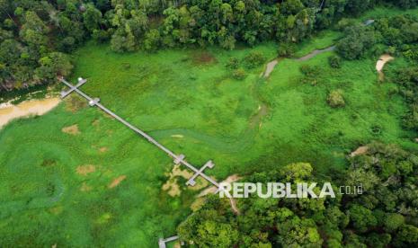 Gulma Tutupi Permukaan Waduk Manggar, Perahu Wisata hingga Irigasi Terganggu