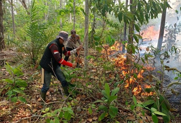 Kebun Karet dan Sawit Warga Giri Purno Tebo Terbakar, 2 Hektare Hangus dan Api Belum Padam