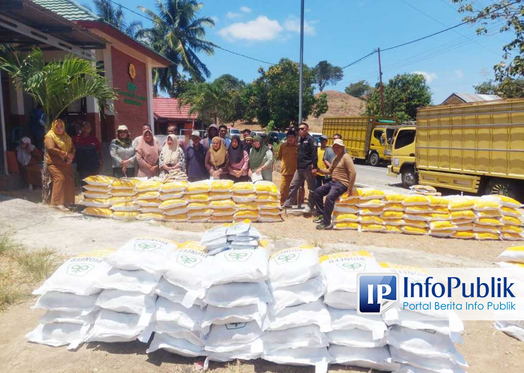 Pemprov Gorontalo Salurkan 75 Ton Benih Jagung P-27 untuk 5.000 Hektare Lahan di Boalemo