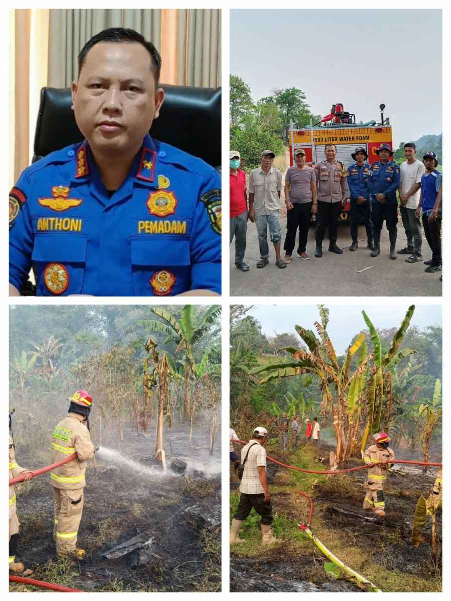 Damkarmat Bandar Lampung Tangani 3 Kebakaran Lahan Kosong dalam Sehari, Diduga dari Bakar Sampah