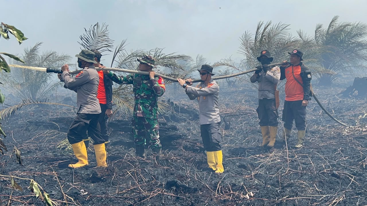 Karhutla Muaro Jambi Hanguskan 556 Hektare Lahan, 447 Hektare di Antaranya Gambut