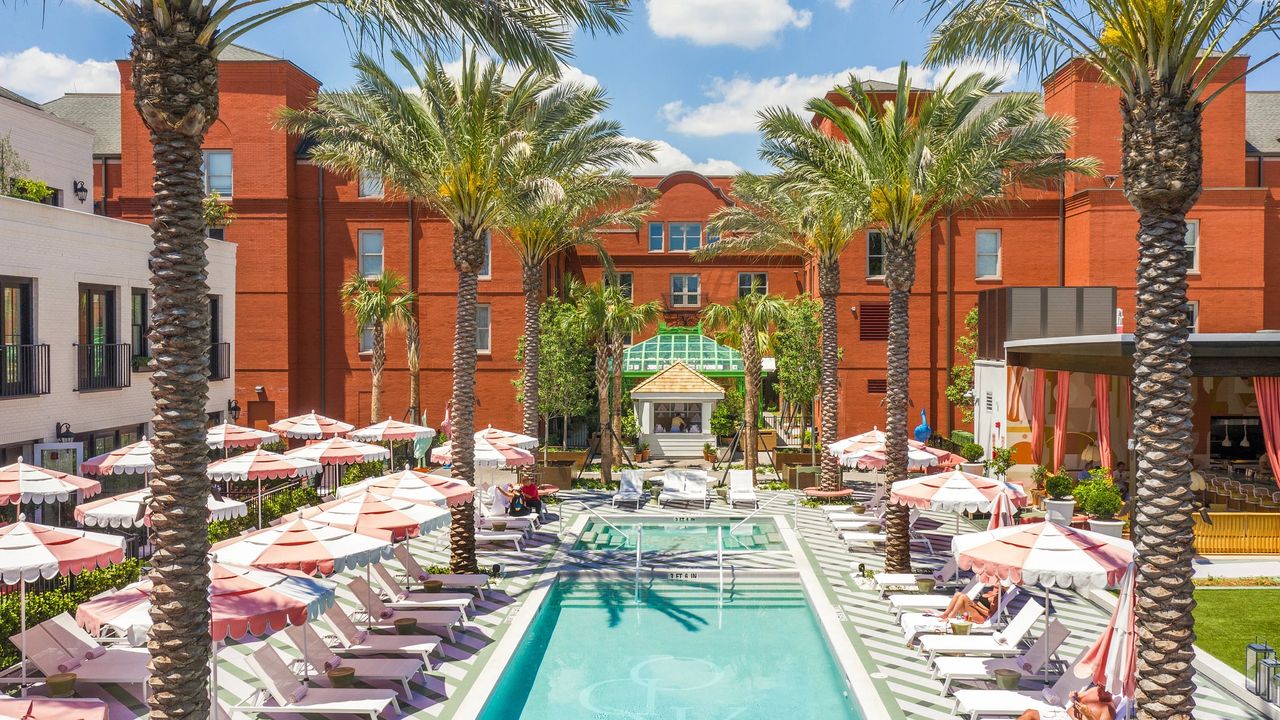 9 Hotel Ramah Anjing di Savannah, Ada Menu Khusus untuk Peliharaan