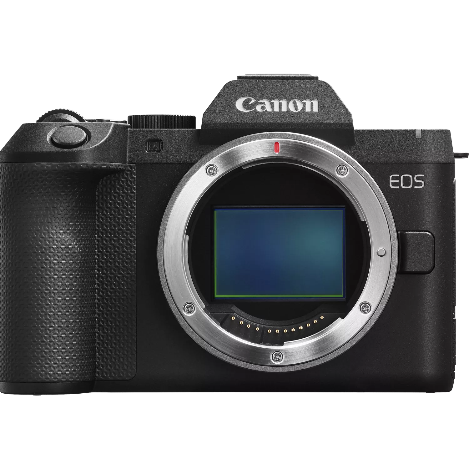 Canon EOS R8 Mark II Resmi Debut, Bawa IBIS 5-Axis dan Video 4K 60 fps