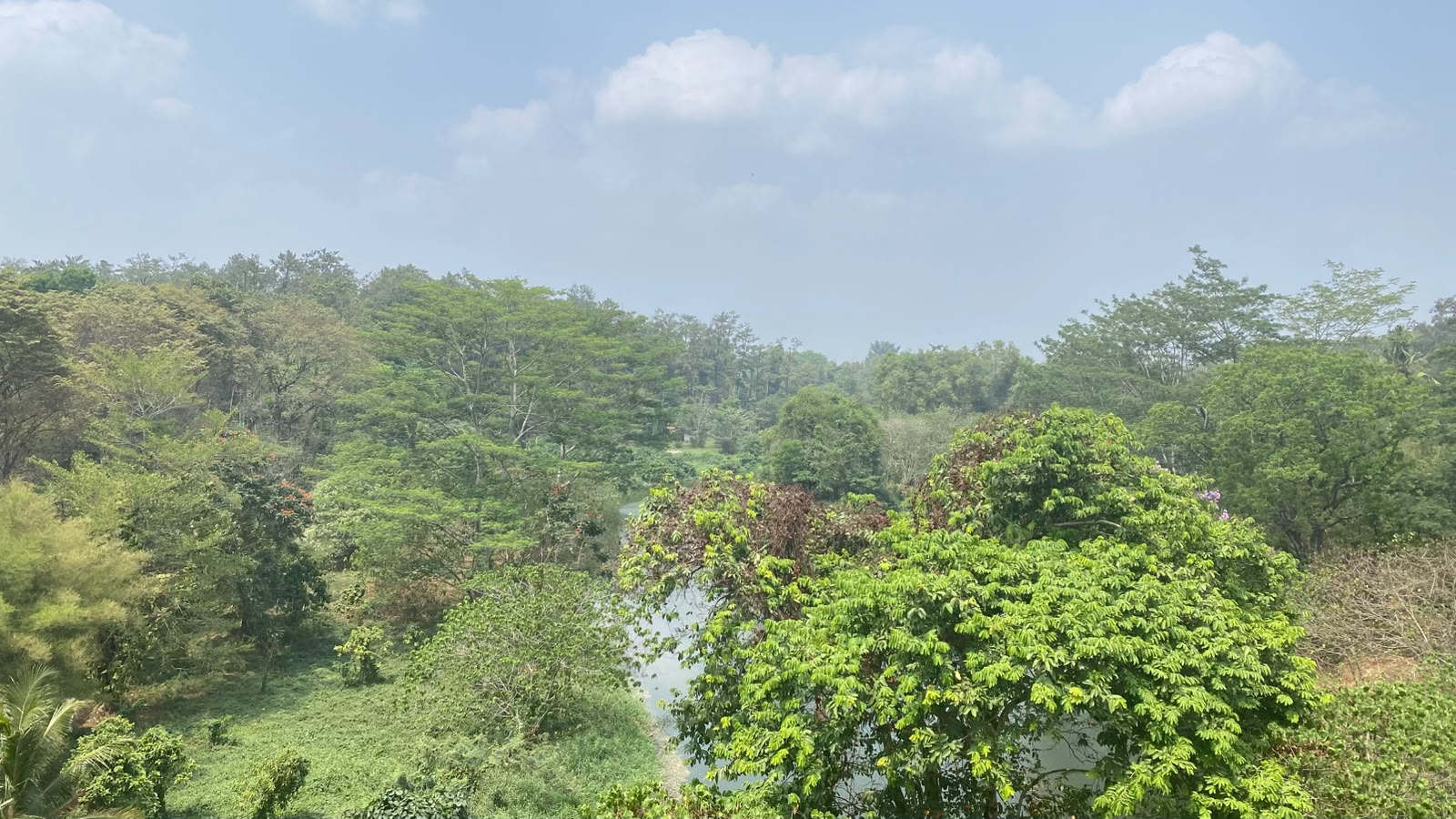 Kabut Asap Selimuti Palembang, AQI Sempat Sentuh 659 dan PM2.5 Tembus 200 µg/m³