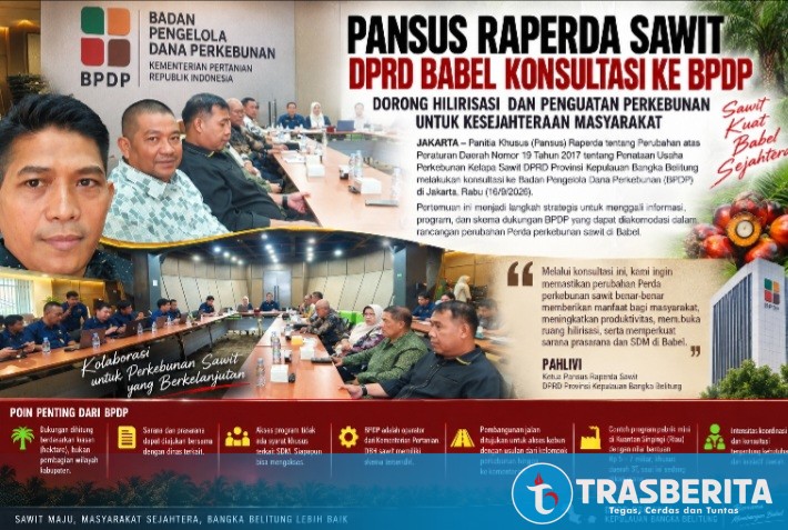 Pansus Raperda Sawit DPRD Babel Konsultasi ke BPDP di Jakarta, Bahas Hilirisasi hingga Pabrik Mini Rp 7 Miliar