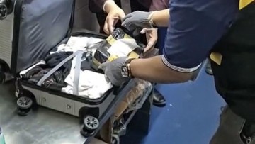 Penumpang Selundupkan Anakan Kera Ekor Panjang di Koper, Karantina Juanda Gagalkan Dua Kasus