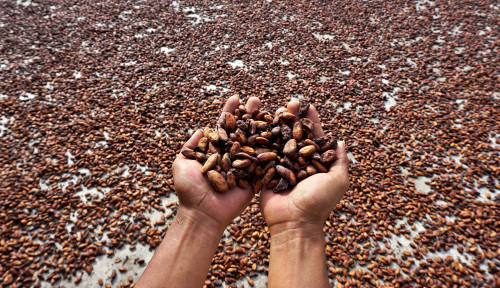 Hilirisasi Agro Pacu Ekspor Nonmigas, Kopi-Tembakau Naik 54%