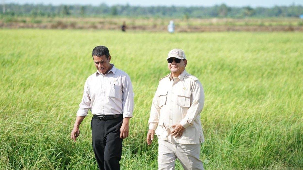 Prabowo Puji Amran Sulaiman, Swasembada Beras Dicapai dalam 1 Tahun