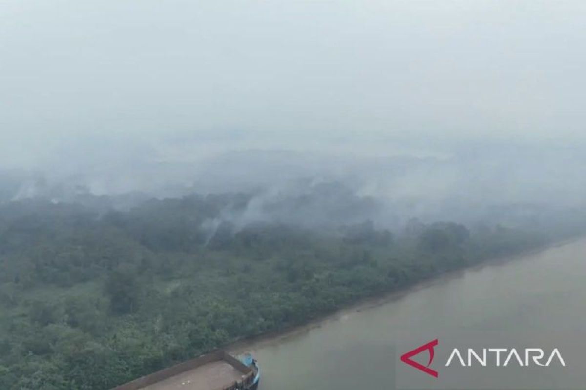 Kualitas Udara Samarinda Masuk Kategori Sangat Tidak Sehat, Jarak Pandang Tersisa 1.000 Meter