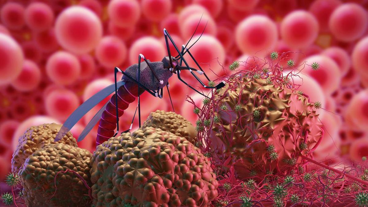 Surabaya Waspada Dengue: Target Nol Kematian 2030, Beban Ekonomi Rp9 Triliun