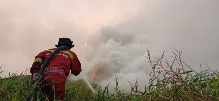 Presiden Prabowo Dorong Pembakar Hutan Dijerat Terorisme Ekologi, Minta Perda yang Beri Ruang Segera Dicabut