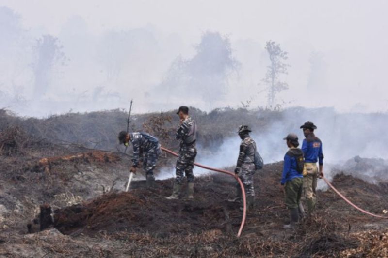 Karhutla Kobar Hanguskan 2.141 Hektare, Hutan Kemasyarakatan Masoraian Terancam