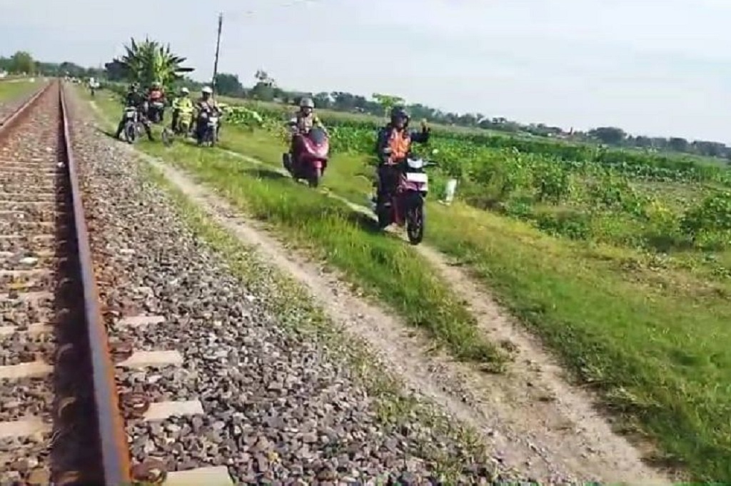 238 Sapi Mati Tertabrak Kereta di Sumut dalam Lima Tahun Terakhir