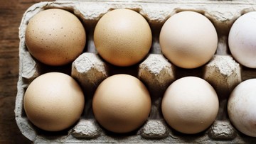 Putih Telur vs Telur Utuh: 6 Gram Protein per Butir