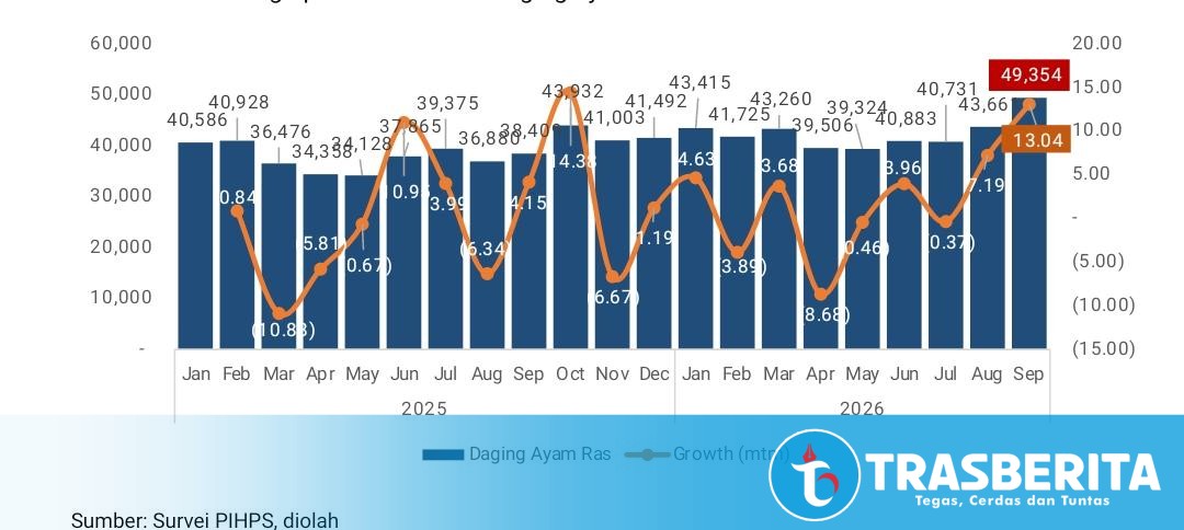 Harga Ayam Ras di Bangka Belitung Tembus Rp49.354 per Kilogram, Bank Indonesia Minta TPID Bergerak Cepat