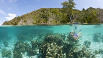 Raja Ampat Diperkuat Status UNESCO Global Geopark Usai Kasus Perburuan Penyu