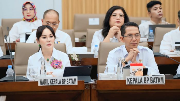 BP Batam Ajukan RKA 2027 Rp 2,44 Triliun, Rp 665,11 Miliar untuk Infrastruktur KPBPB