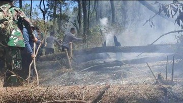Gunung Lawu Terbakar, 17 Hektare di Magetan Hangus Merembet ke Ngawi