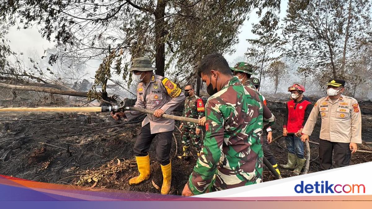 Satgas Karhutla Jambi Kembali Padamkan Hutan Gambut Londerang, 85 Hektare Terbakar