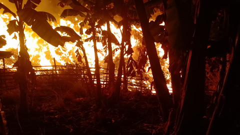 Kebakaran TPA Jatibarang Semarang Padam dalam 2 Jam, Satu Hektare Terbakar