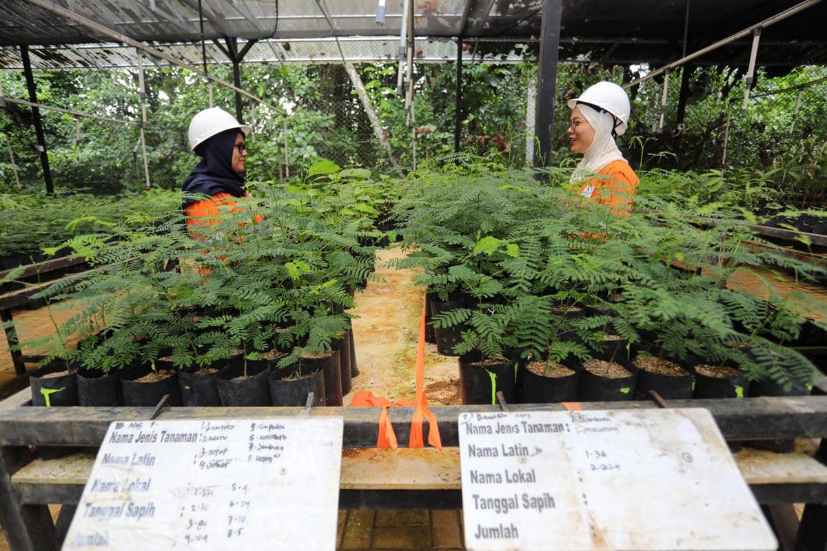 PT Agincourt Resources Rehabilitasi 56,75 Hektare Lahan di Tapanuli Selatan, Target 521 Hektare Rampung 2034