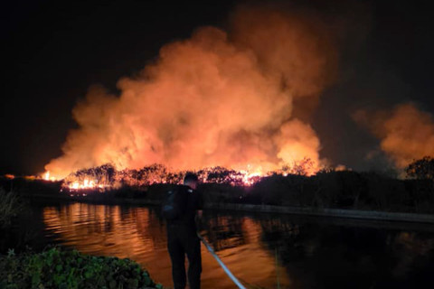 Polisi Buru Sigit, Pemancing Diduga Picu Kebakaran 10 Hektare Lahan POJ City Semarang