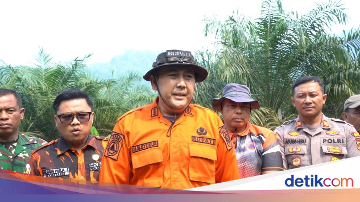 Karhutla Bukit Telasih Merangin Hanguskan 10 Hektare, Bupati M Syukur Minta Warga Stop Bakar Lahan