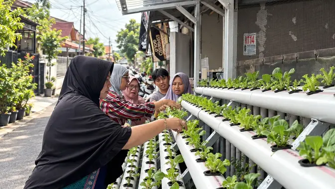 PNM Kembangkan Agro Urban Madani, Warga Depok Panen Sayur di Lorong Gang