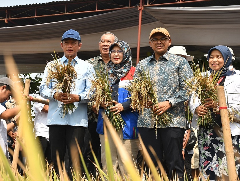 Wamenko Pangan Sebut Batang Masuk 10 Kabupaten Tahan Pangan Tertinggi, Lahan Rob Pesisir Jadi