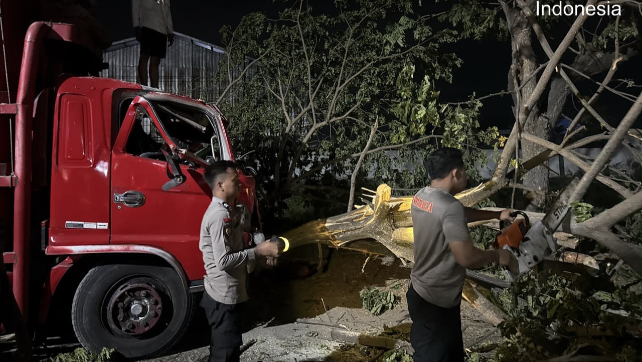 Polresta Pati Evakuasi Pohon Trembesi 1,2 Meter yang Tutup Jalan Pati-Juwana Dini Hari