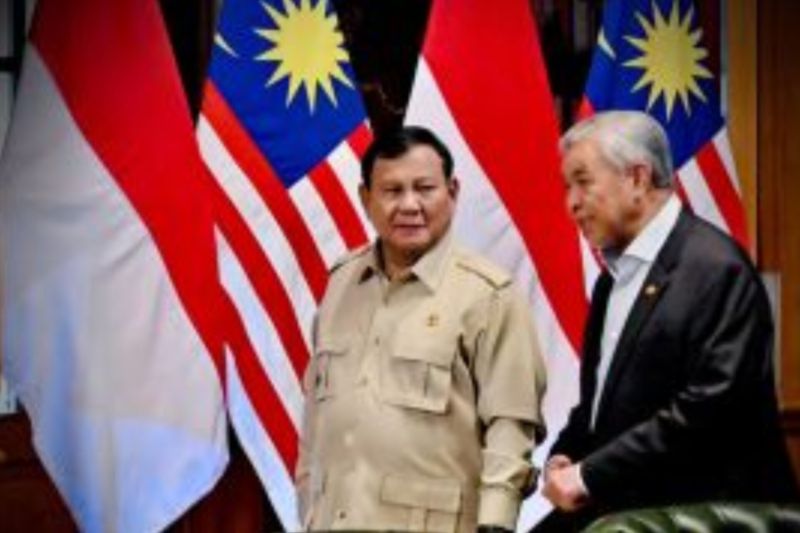 Malaysia Kirim 1 Pesawat dan 3 Helikopter Bantu Padamkan Karhutla di Kalimantan, 52 Personel Dikerahkan