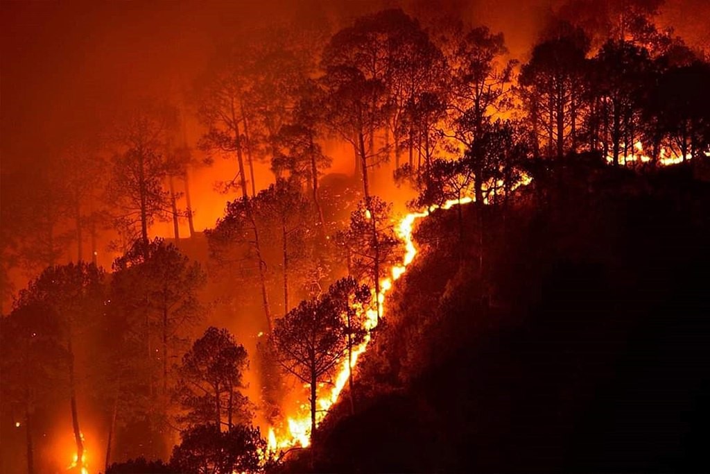 Kabut Asap Karhutla Kalbar Pukul Ekonomi Warga Pontianak, Pedagang hingga Ojek Daring Kehilangan Pendapatan