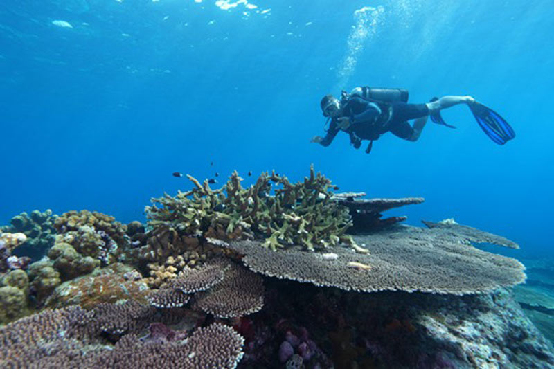 KKP Tetapkan Kawasan Konservasi Pulau Teon, Nila, dan Serua di Maluku Tengah Seluas 683.826,89 Hektare