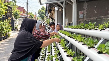 PNM: Lorong Kota Jadi Lahan Pangan 10 Titik
