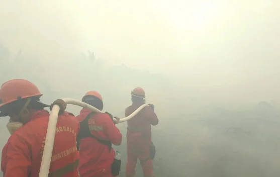 Karhutla Sumatera Selatan Perburuk Kualitas Udara, BMKG Pantau PM 2,5 di Palembang
