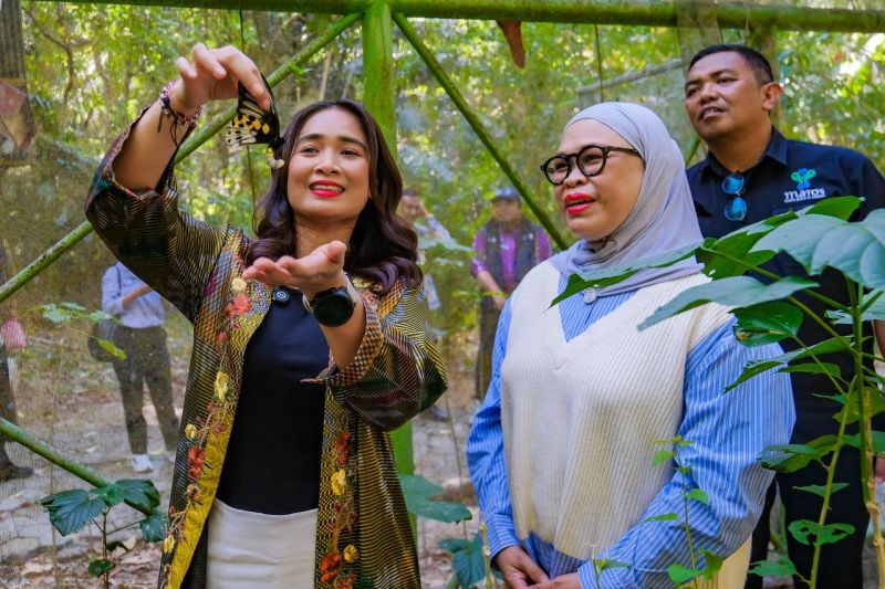 Wamenpar Dorong Bantimurung-Bulusaraung Jadi Contoh Wisata Konservasi